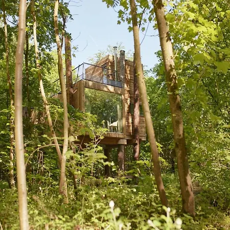 Vakantiehuis Treehouse In Tournai With Sauna & Forest Views *