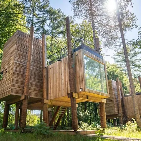 Treehouse In Tournai With Sauna & Forest Views بيت للعطل Antoing