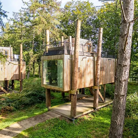 Vakantiehuis Treehouse In Tournai With Sauna & Forest Views Antoing