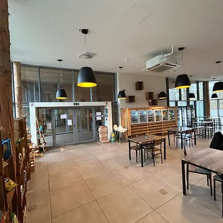 Treehouse In Tournai With Sauna & Forest Views بيت للعطل Antoing