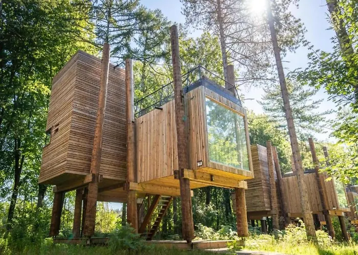 Treehouse In Tournai With Sauna & Forest Views Casa vacanze Antoing
