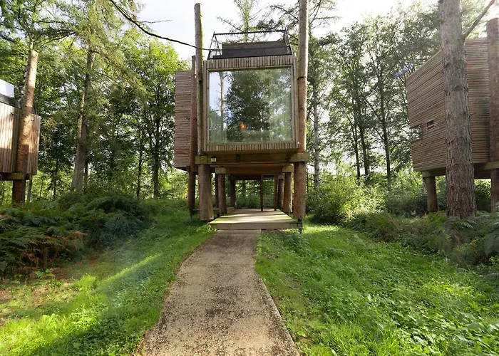 Treehouse In Tournai With Sauna & Forest Views *