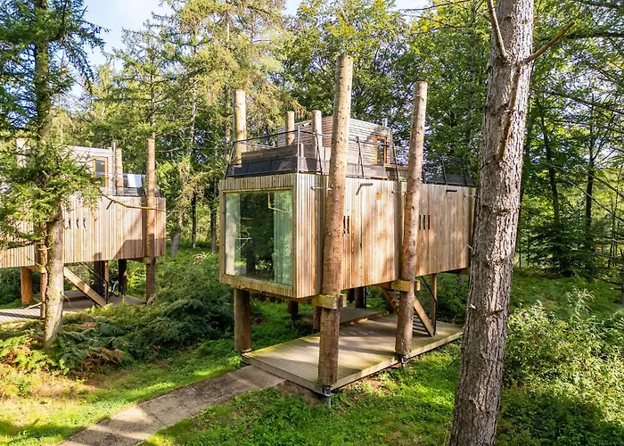 Casa vacanze Treehouse In Tournai With Sauna & Forest Views Antoing