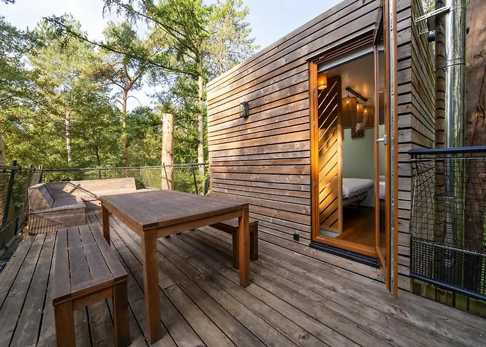 Treehouse In Tournai With Sauna & Forest Views Antoing