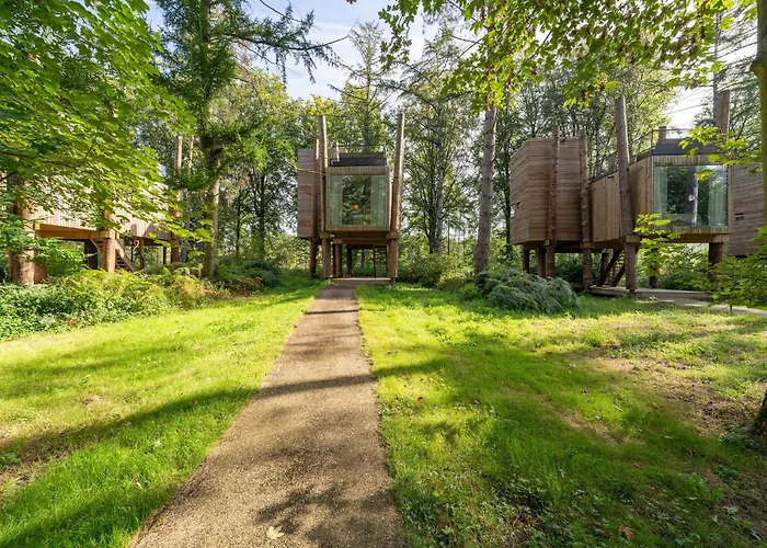 Treehouse In Tournai With Sauna & Forest Views Casa vacanze Antoing