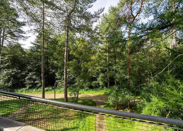 Casa vacanze Treehouse In Tournai With Sauna & Forest Views